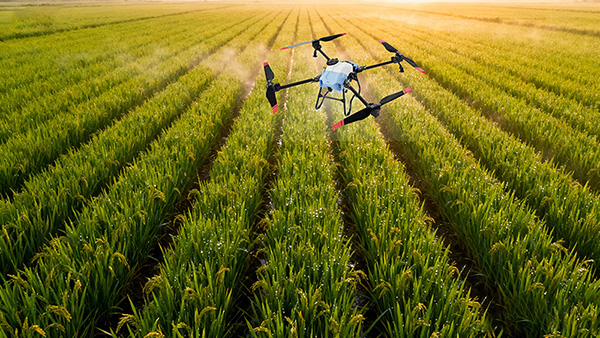 The flight of drones in farming
