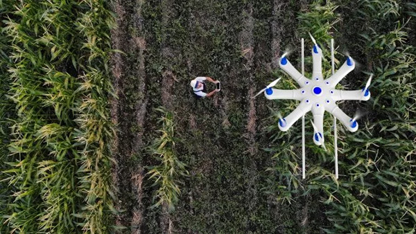 Ask the expert: Agricultural drones are reshaping farming